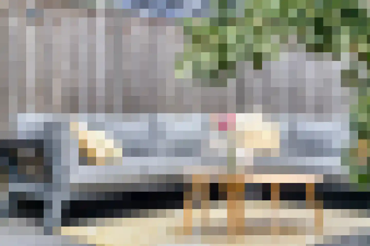 Aalscholver 7 Veenendaal thumbnail 40