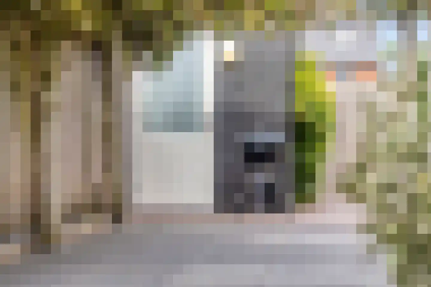 Aalscholver 7 Veenendaal thumbnail 41