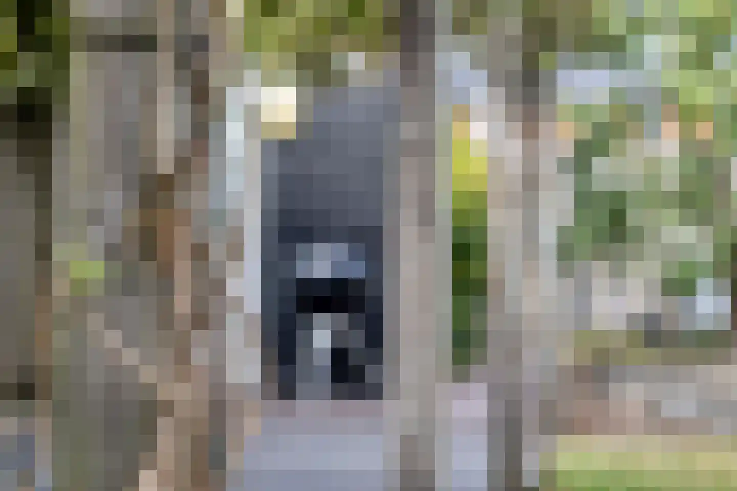 Aalscholver 7 Veenendaal thumbnail 42