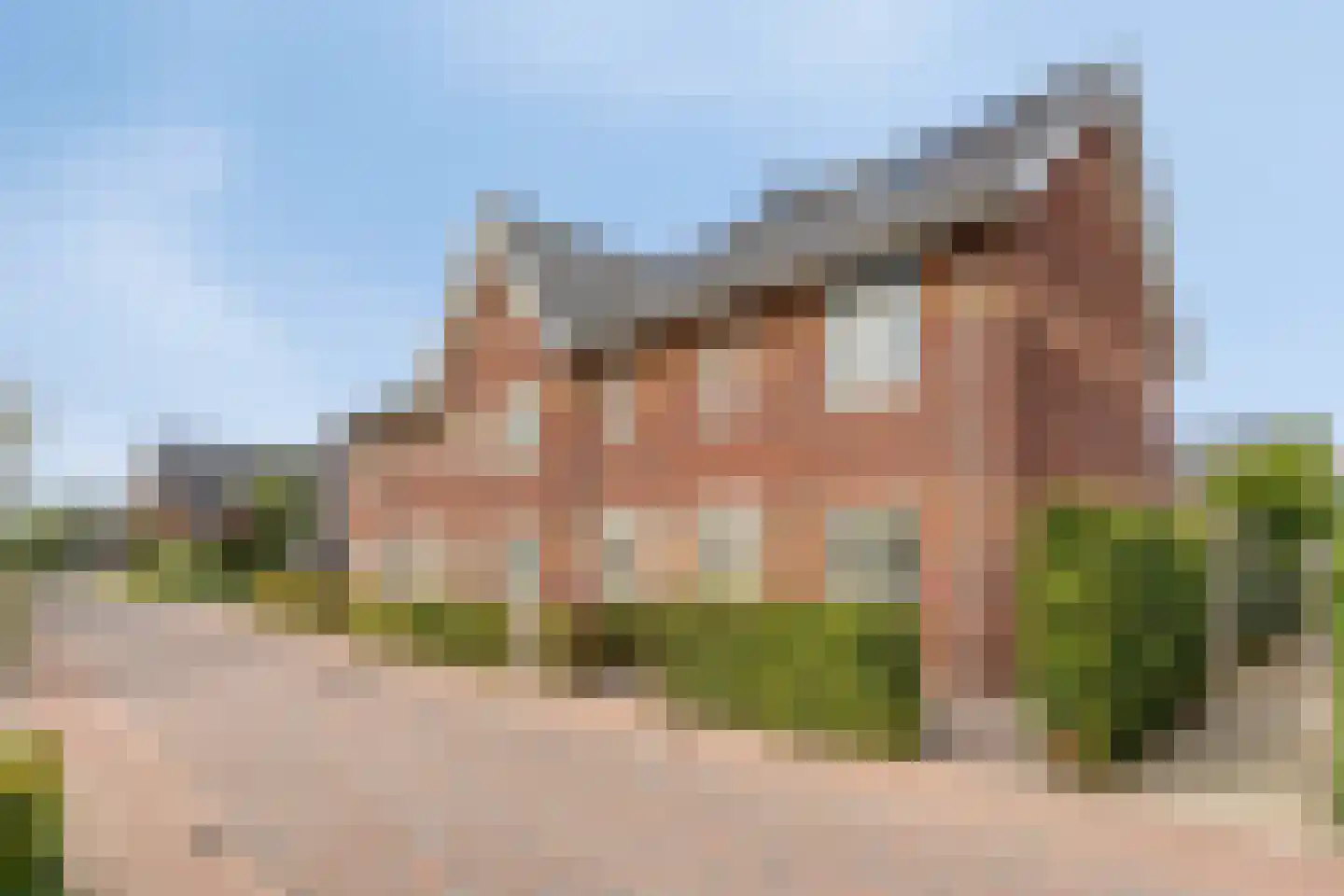 Aalscholver 7 Veenendaal thumbnail 47