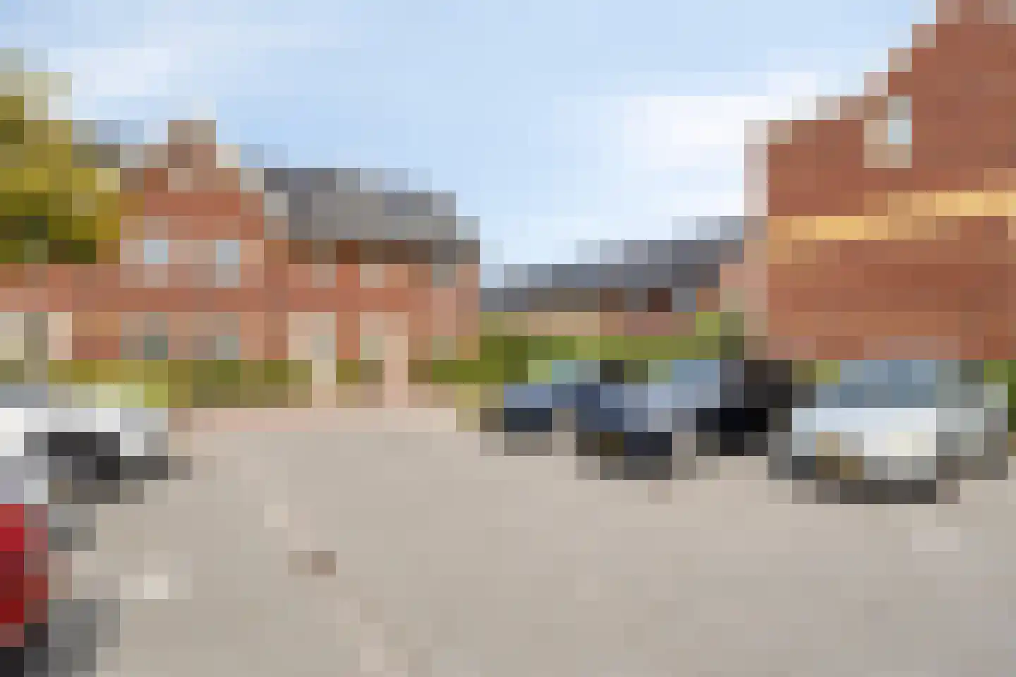 Aalscholver 7 Veenendaal thumbnail 48
