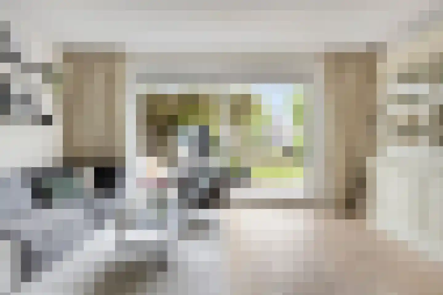 Aalscholver 7 Veenendaal thumbnail 5