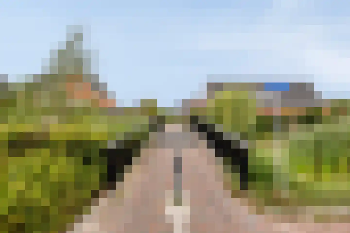 Aalscholver 7 Veenendaal thumbnail 50