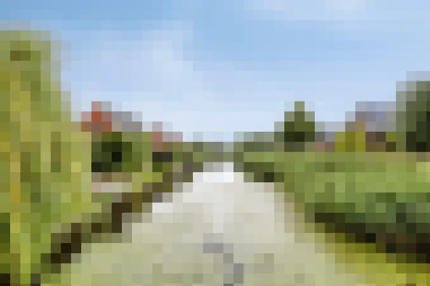 Aalscholver 7 Veenendaal thumbnail 51