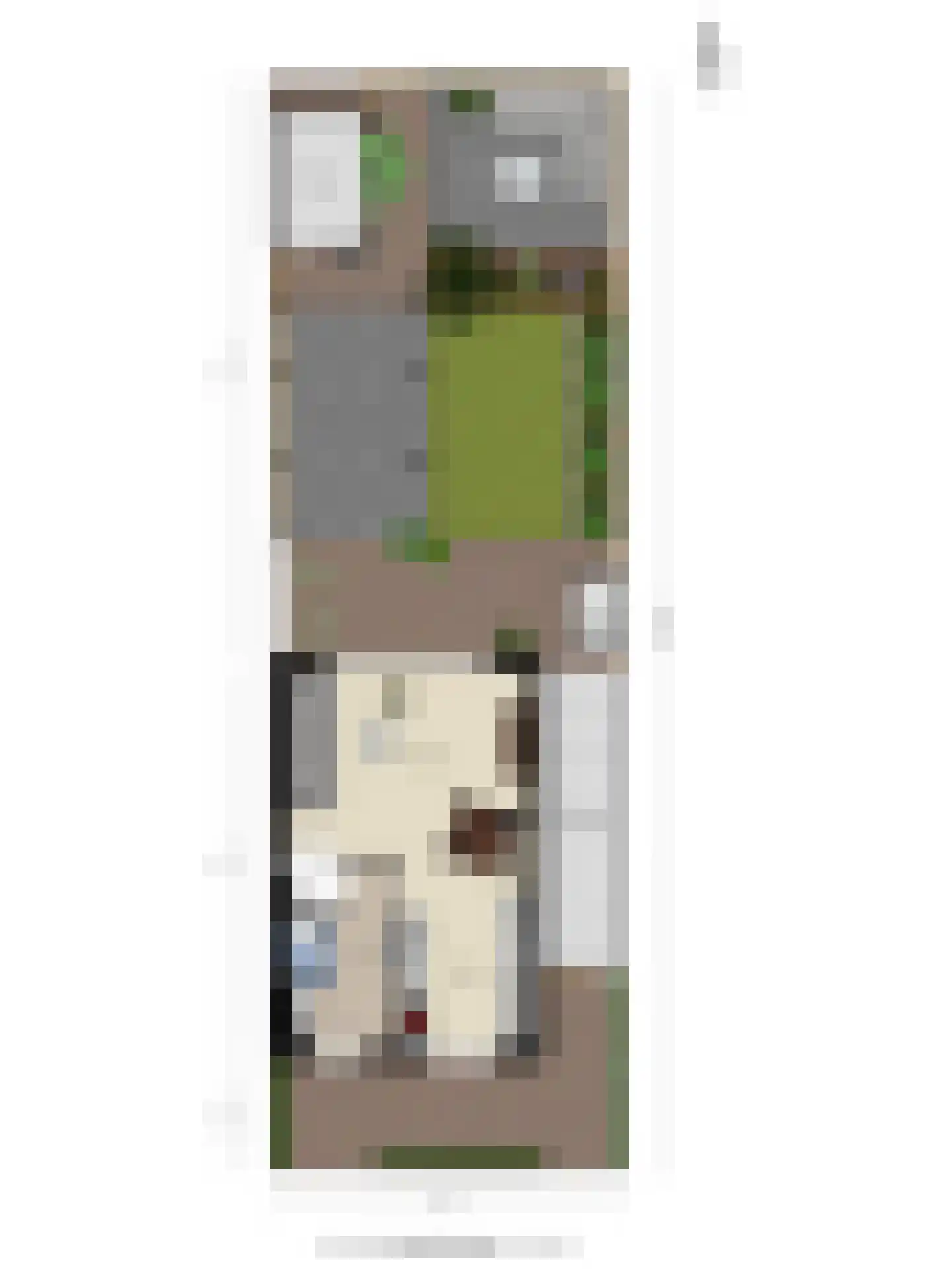 Aalscholver 7 Veenendaal thumbnail 52
