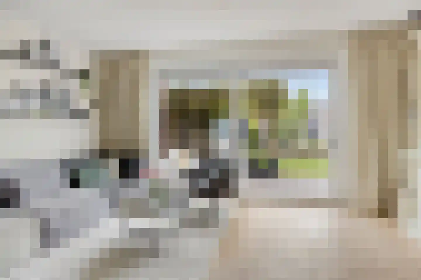 Aalscholver 7 Veenendaal thumbnail 6