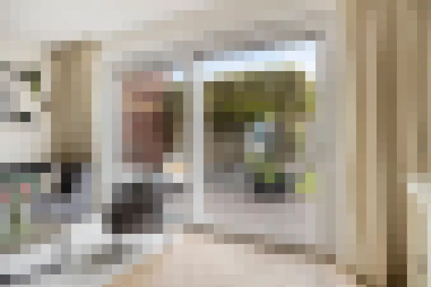 Aalscholver 7 Veenendaal thumbnail 7