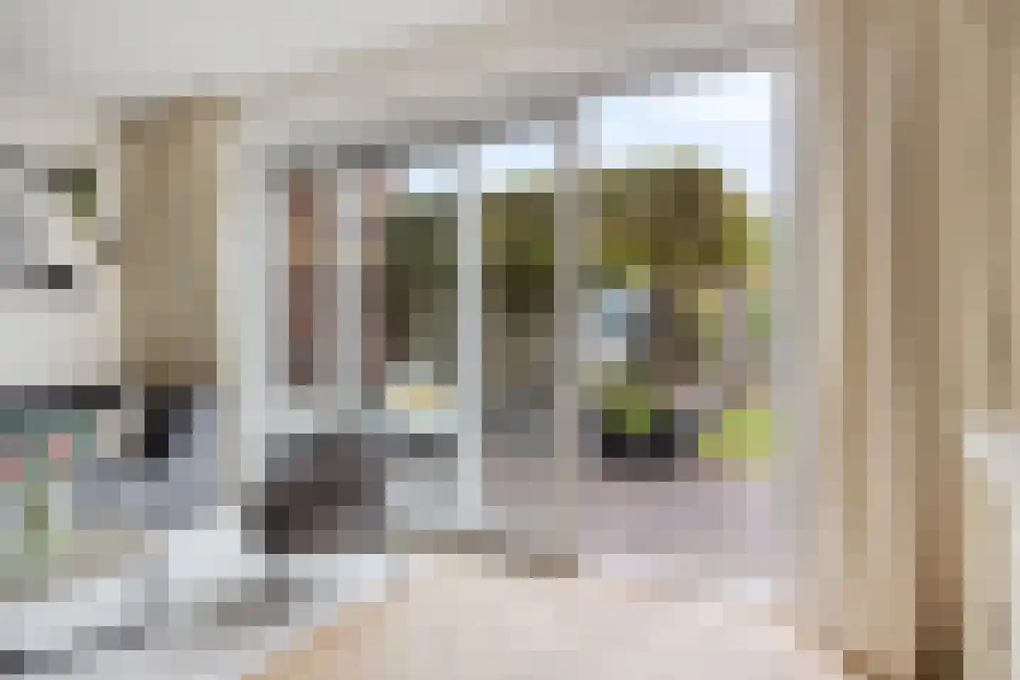 Aalscholver 7 Veenendaal thumbnail 8