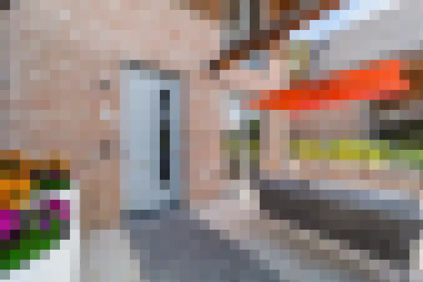 Aalscholver 8 Pijnacker thumbnail 10
