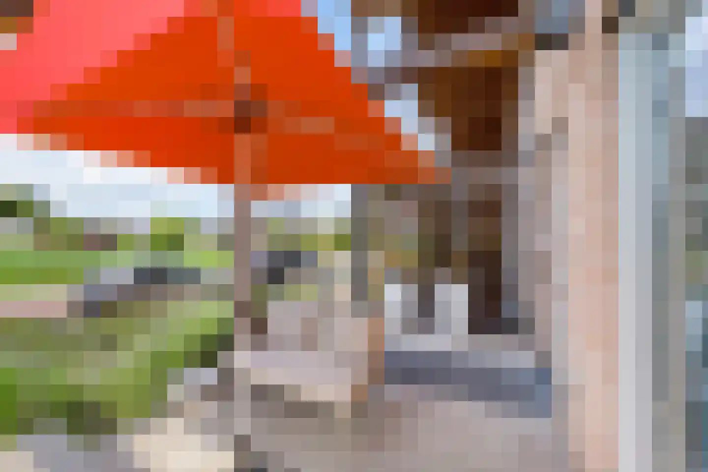 Aalscholver 8 Pijnacker thumbnail 11