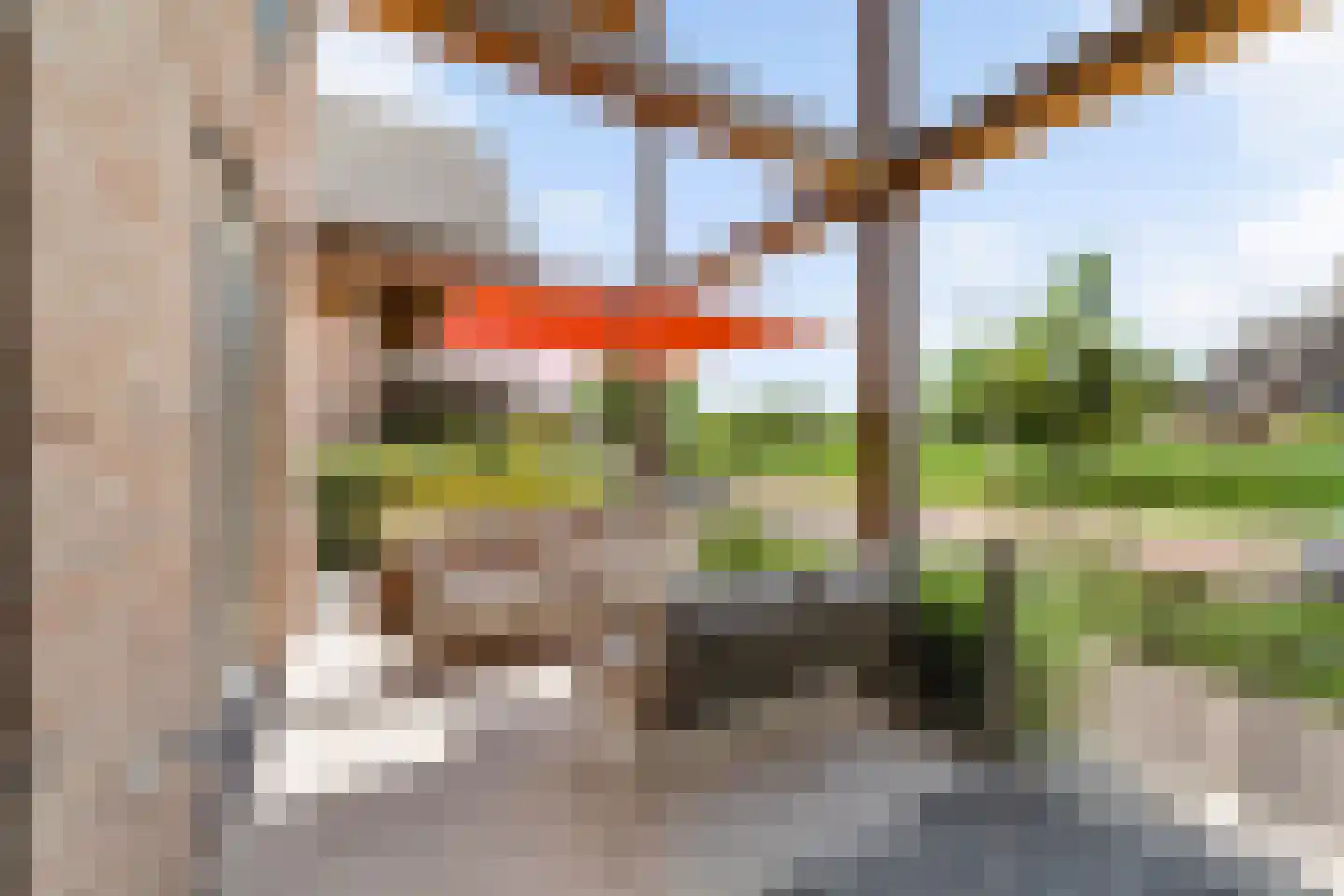 Aalscholver 8 Pijnacker thumbnail 12