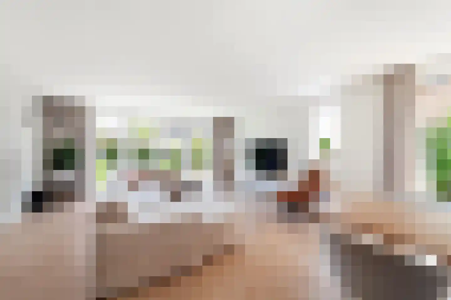 Aalscholver 8 Pijnacker thumbnail 15