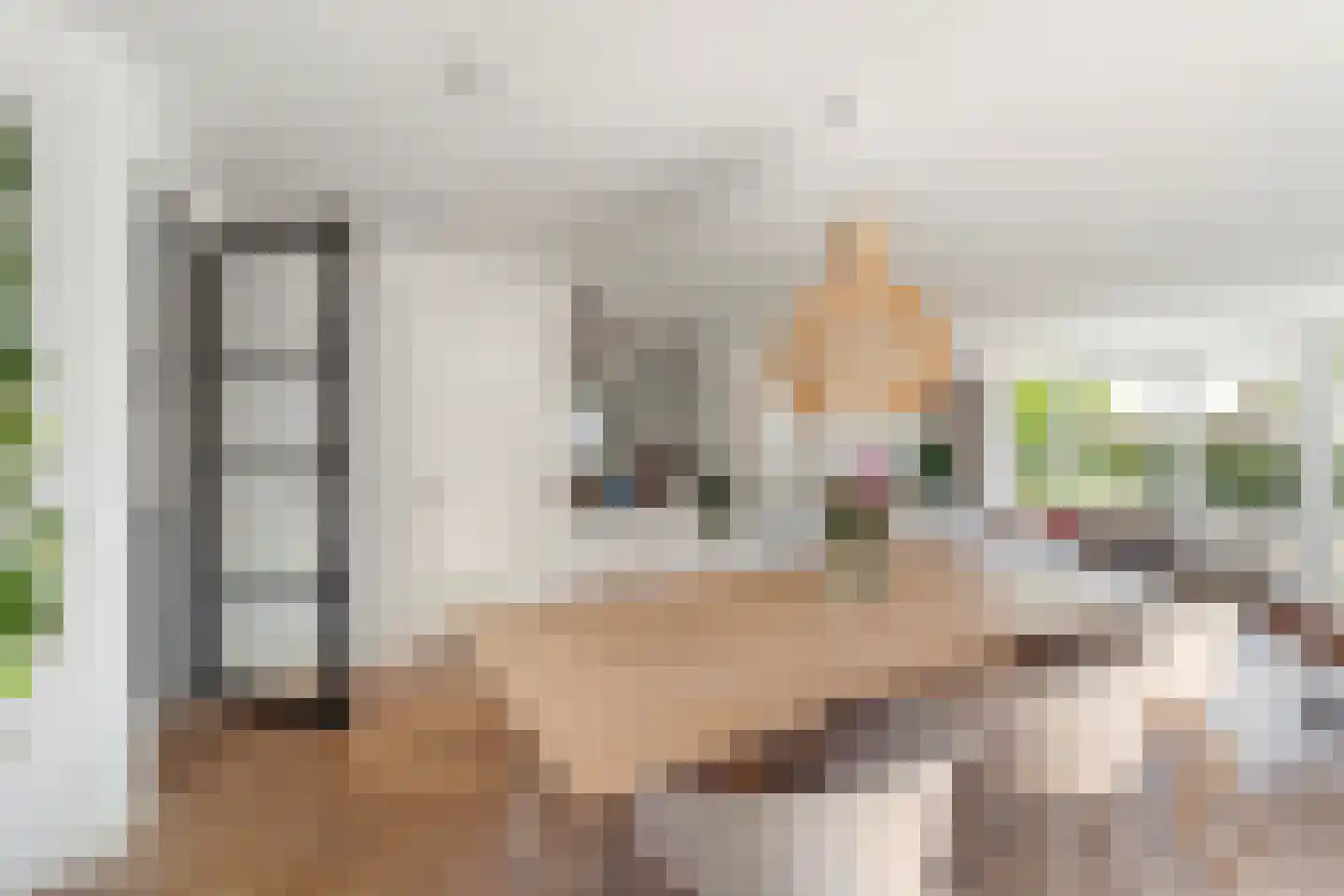 Aalscholver 8 Pijnacker thumbnail 17