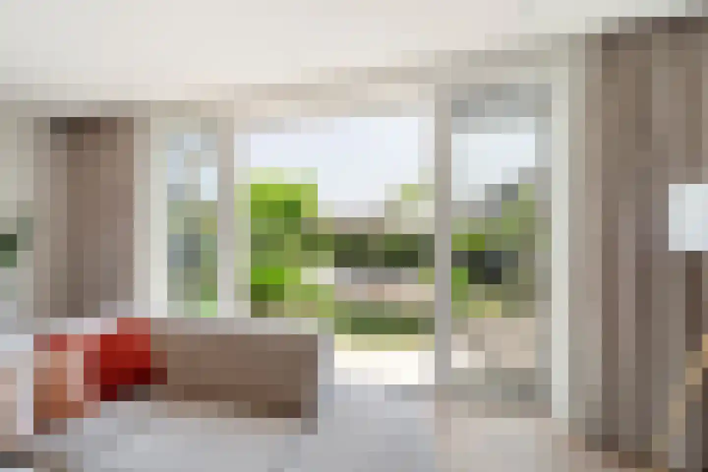 Aalscholver 8 Pijnacker thumbnail 19