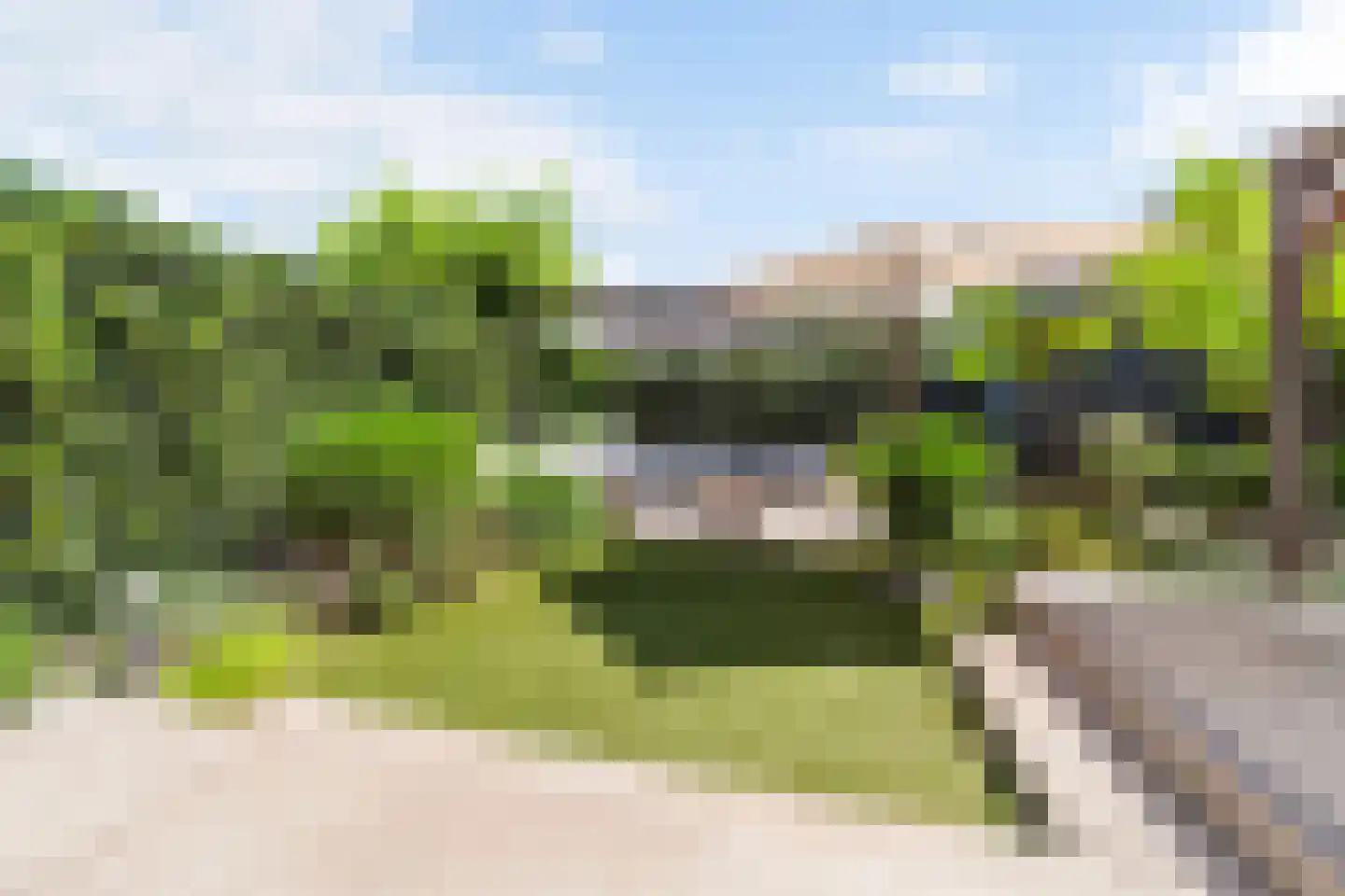 Aalscholver 8 Pijnacker thumbnail 20