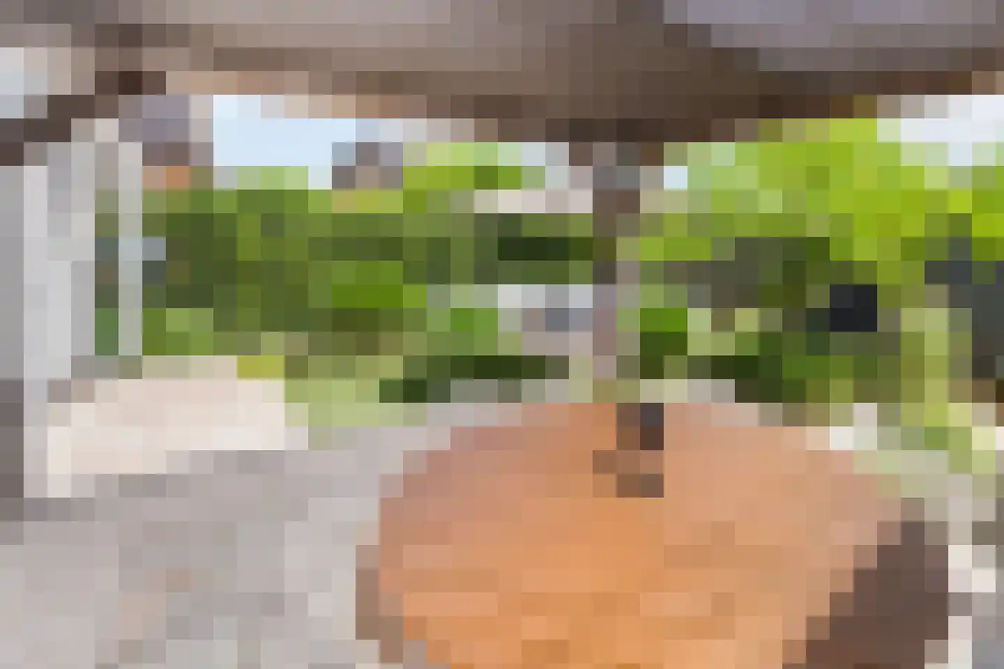 Aalscholver 8 Pijnacker thumbnail 22