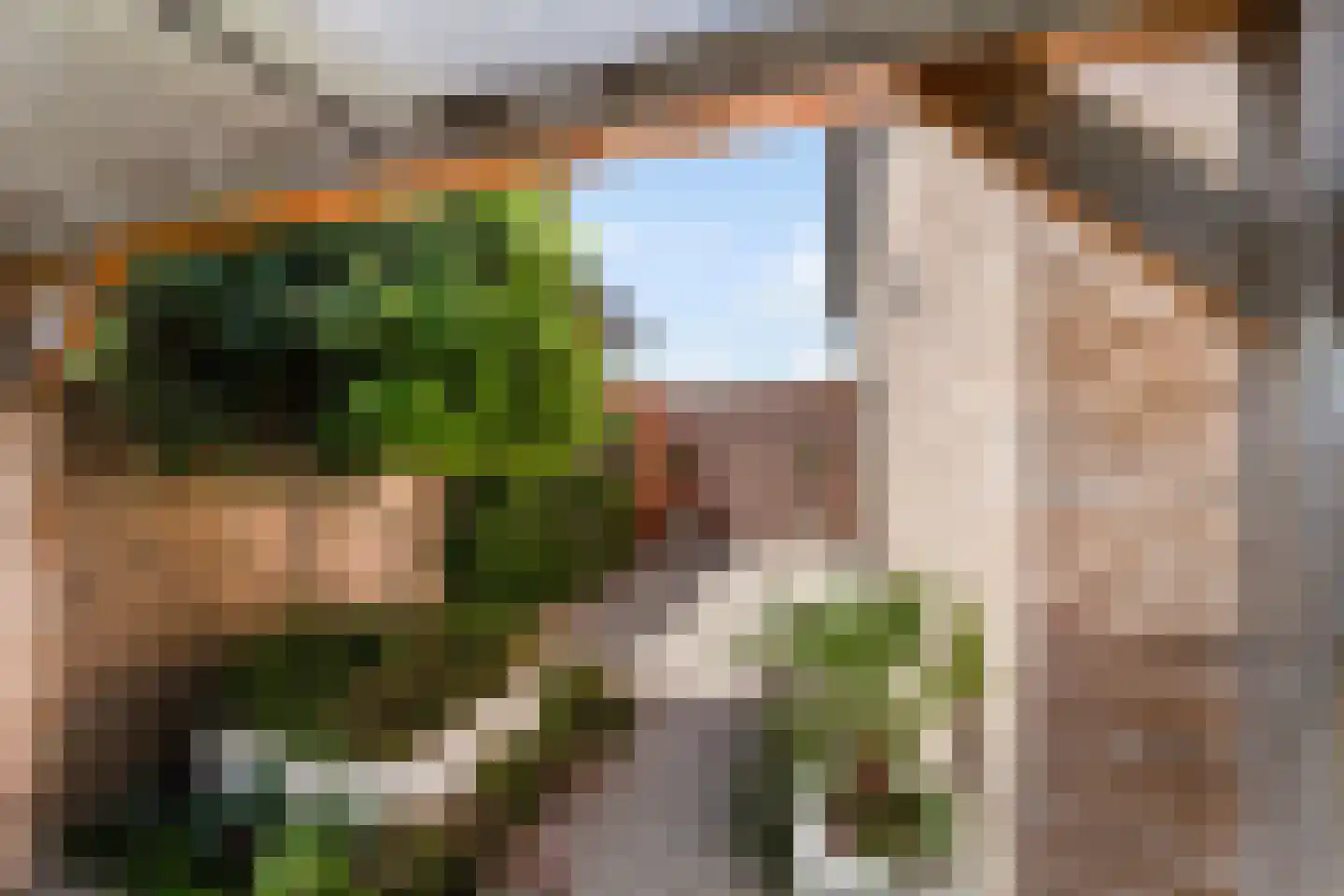 Aalscholver 8 Pijnacker thumbnail 23