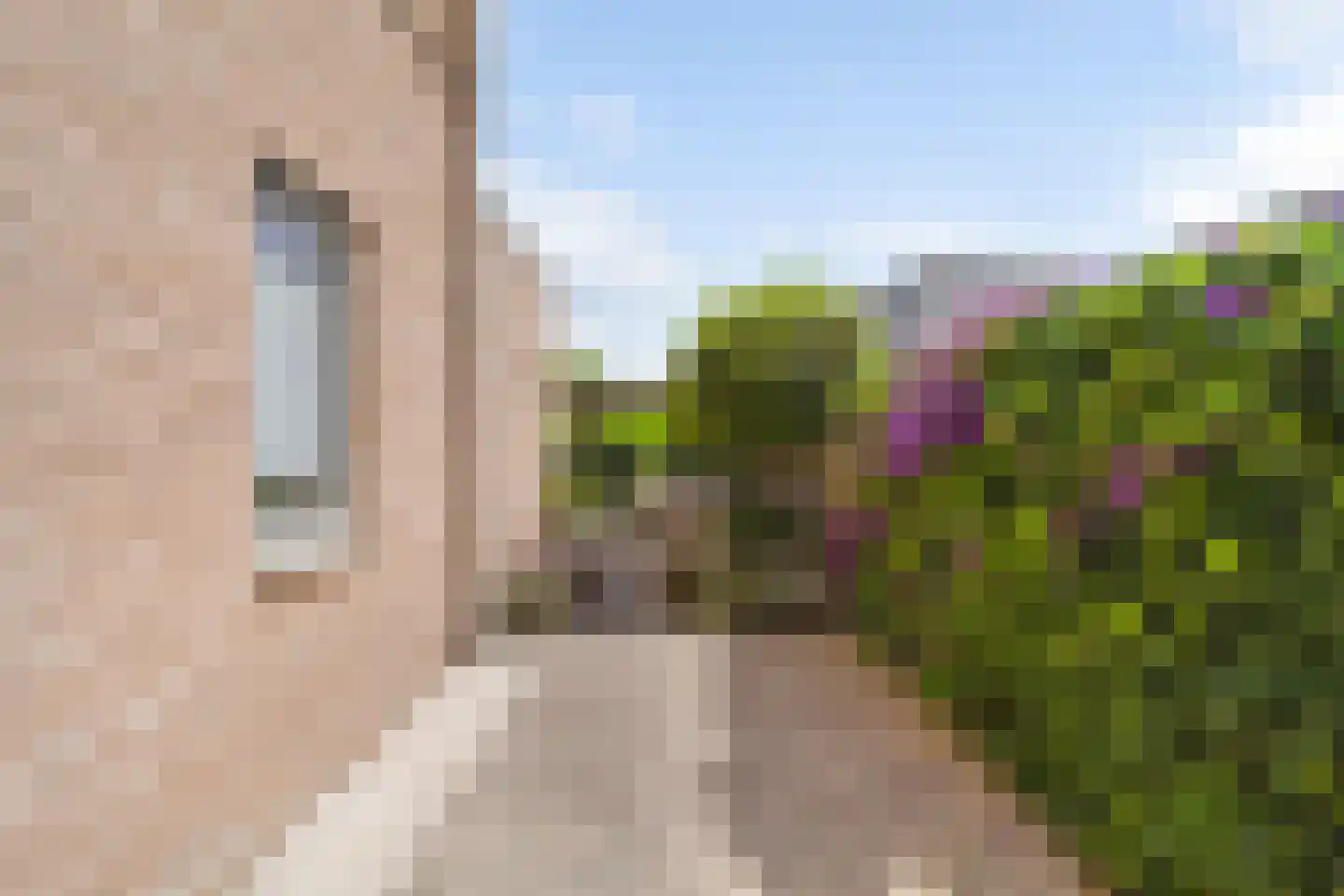 Aalscholver 8 Pijnacker thumbnail 24