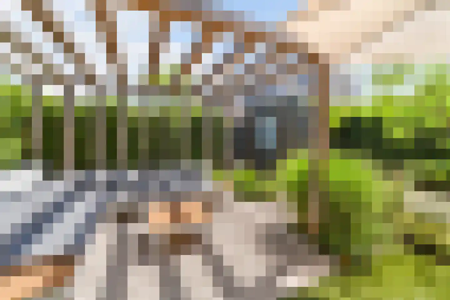 Aalscholver 8 Pijnacker thumbnail 26