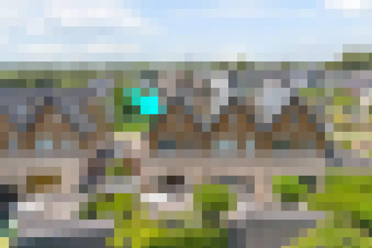 Aalscholver 8 Pijnacker thumbnail 27
