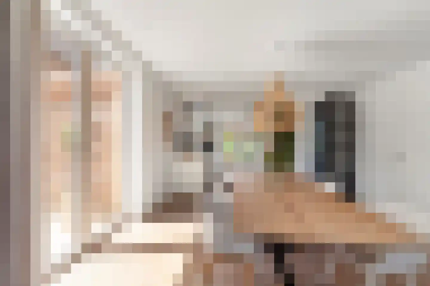 Aalscholver 8 Pijnacker thumbnail 29