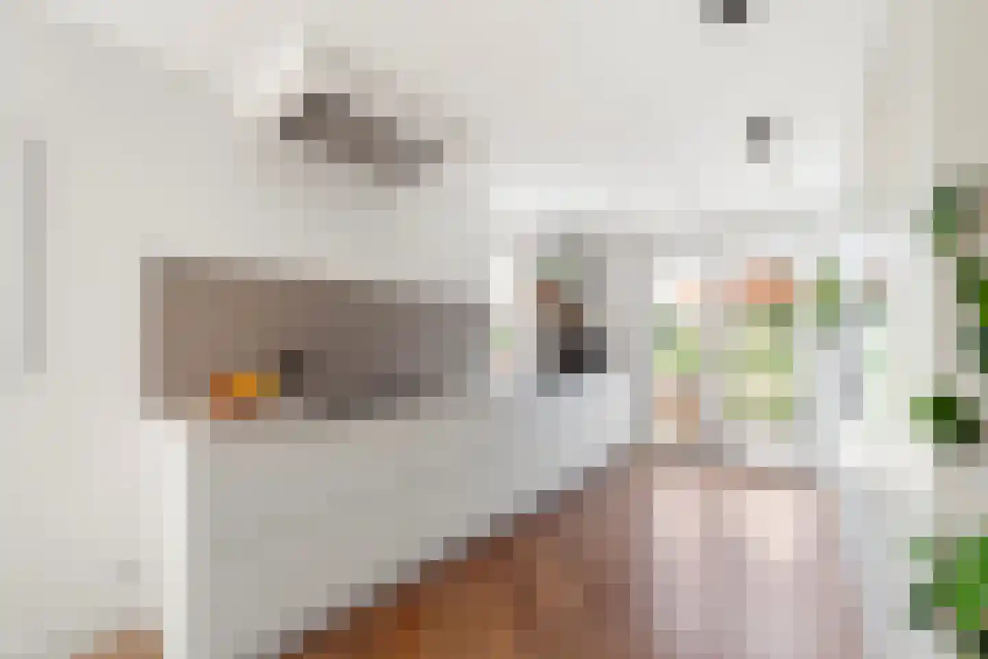 Aalscholver 8 Pijnacker thumbnail 4