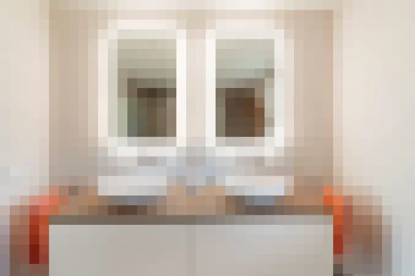 Aalscholver 8 Pijnacker thumbnail 40