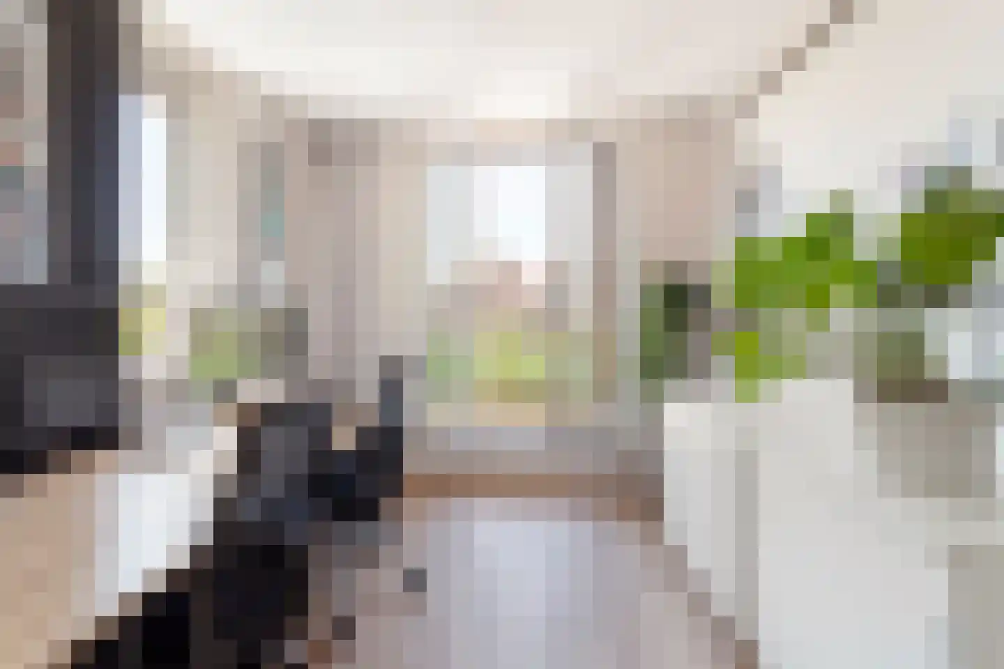 Aalscholver 8 Pijnacker thumbnail 43