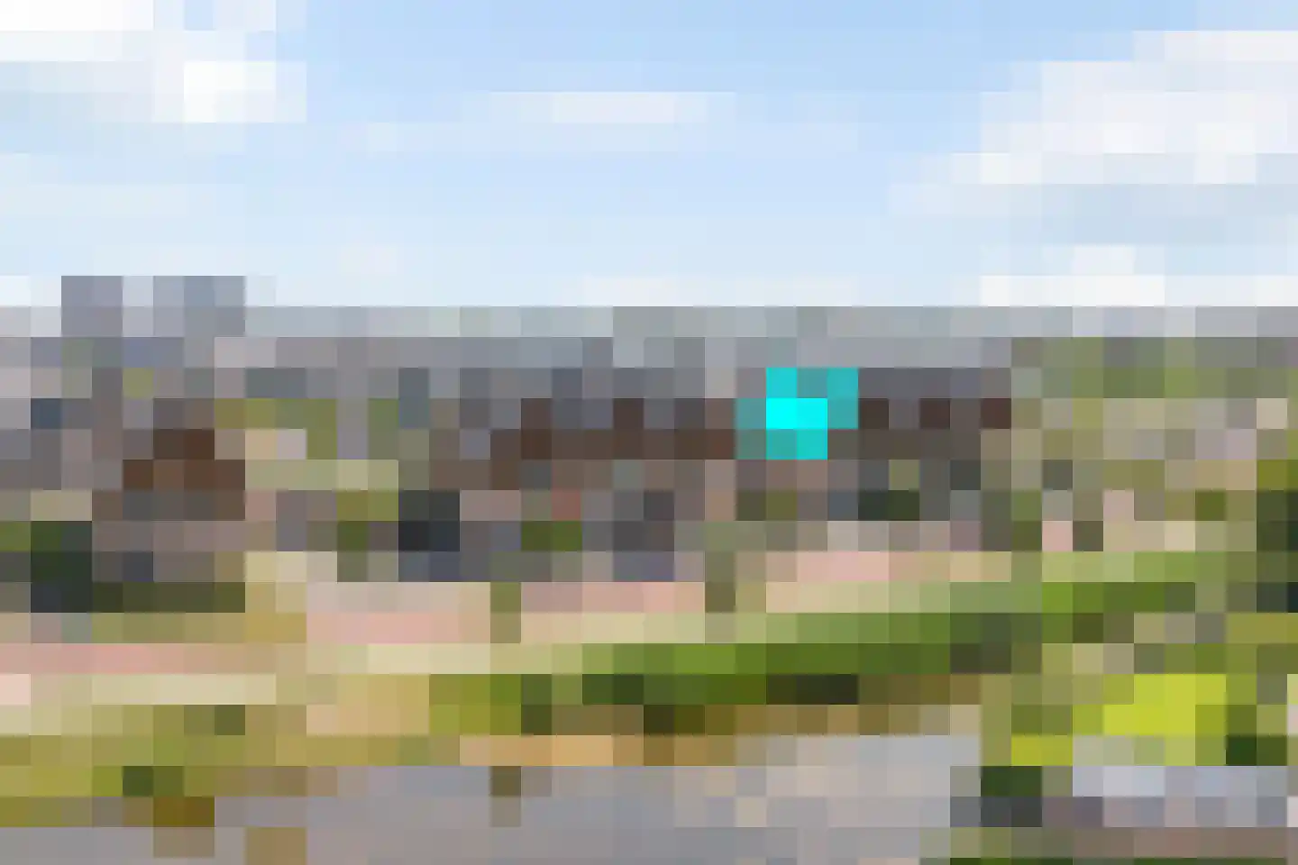Aalscholver 8 Pijnacker thumbnail 5