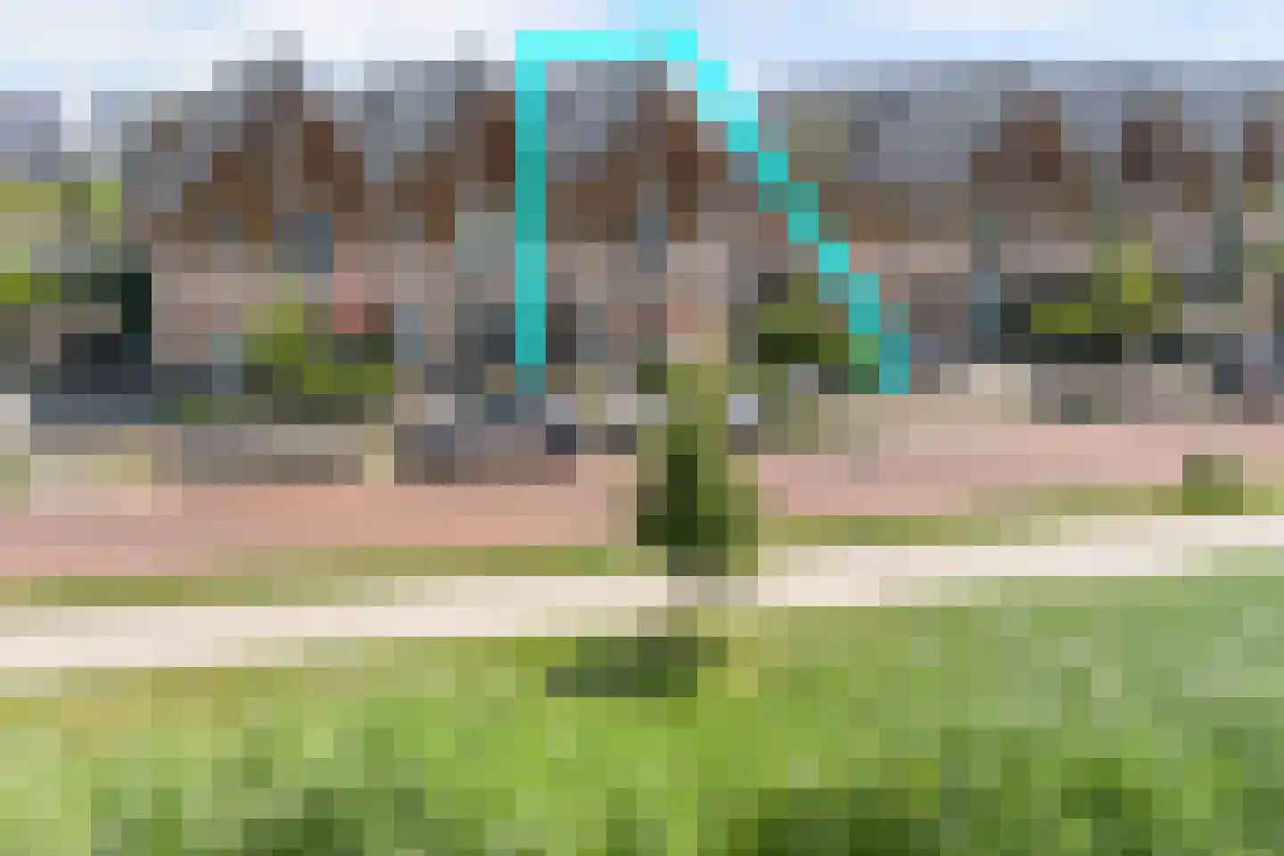 Aalscholver 8 Pijnacker thumbnail 56