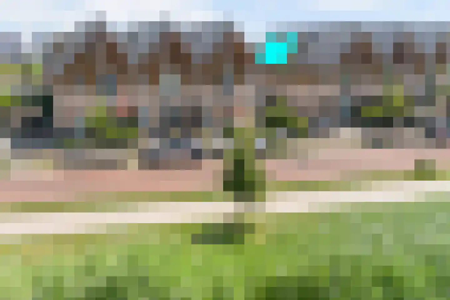 Aalscholver 8 Pijnacker thumbnail 57