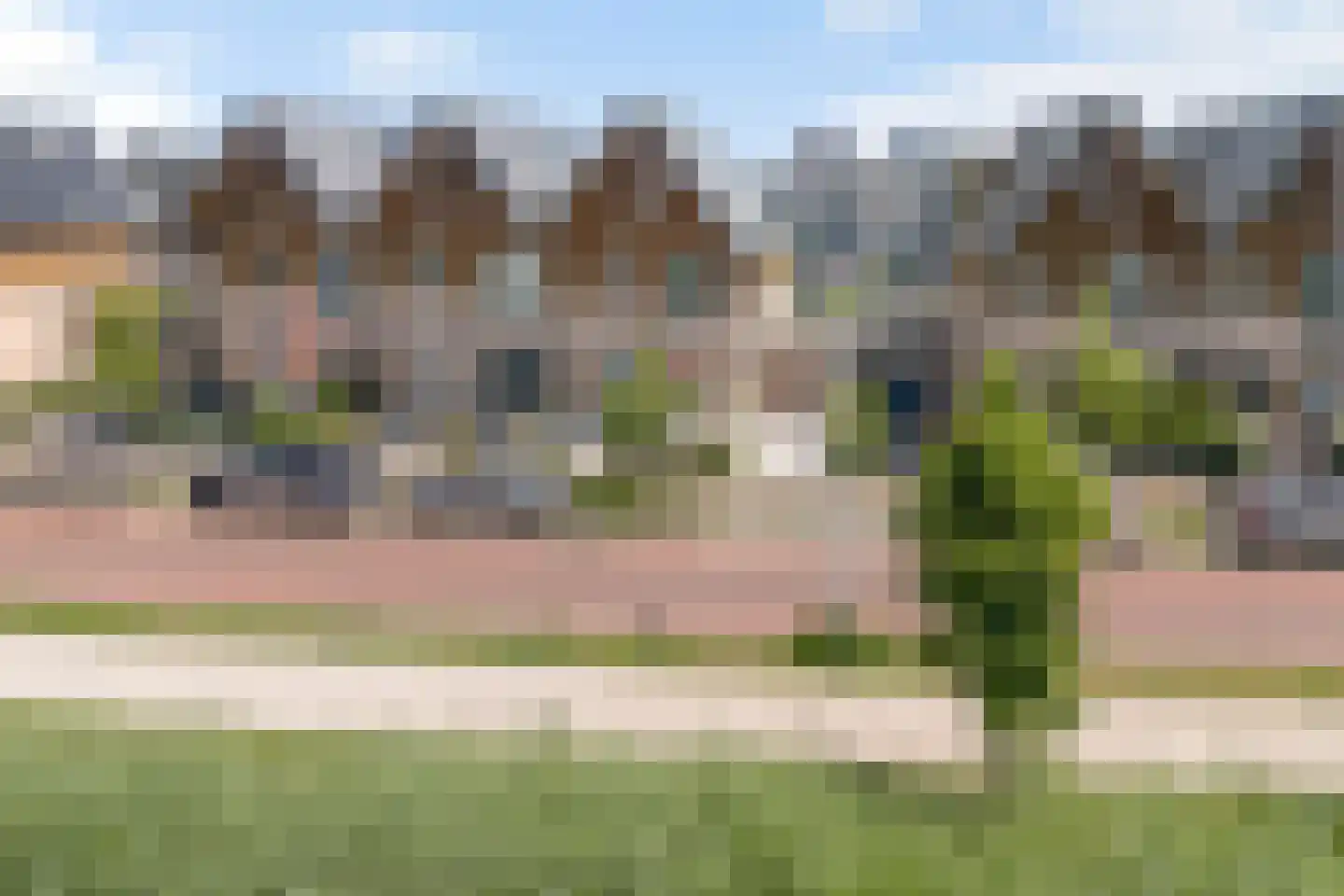 Aalscholver 8 Pijnacker thumbnail 6