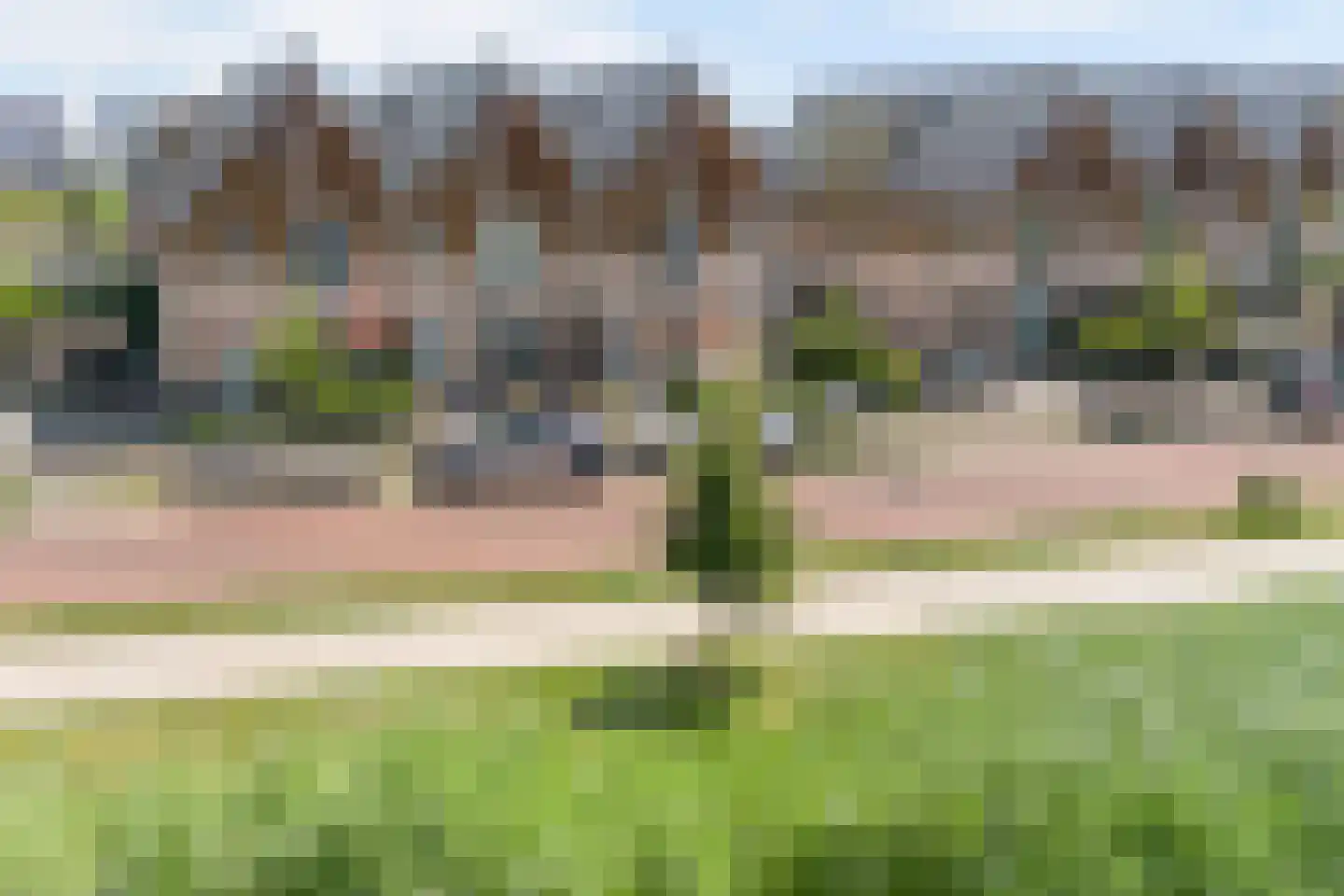 Aalscholver 8 Pijnacker thumbnail 60