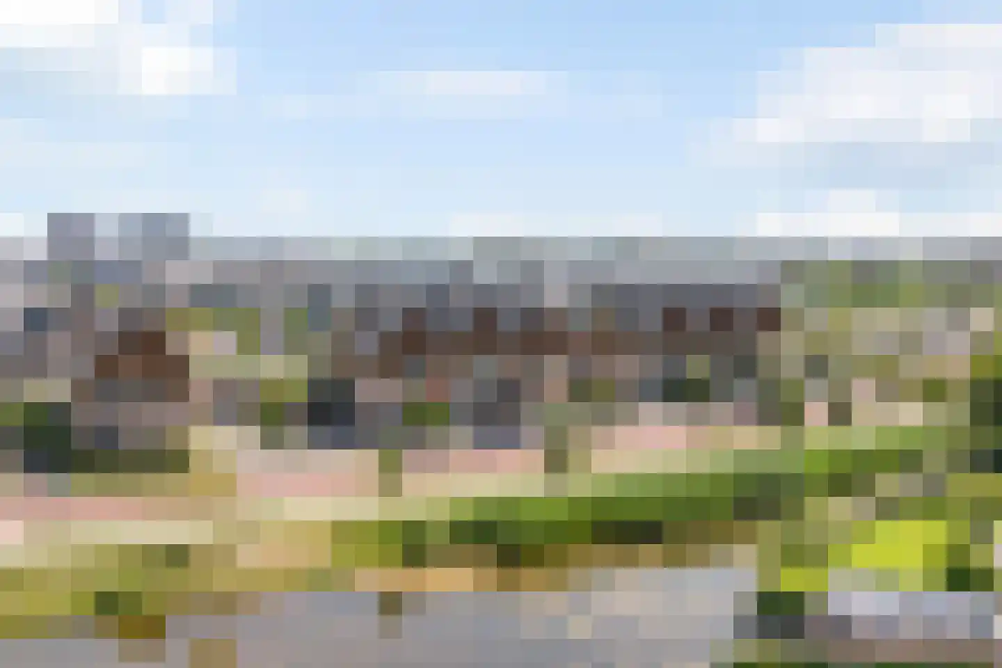 Aalscholver 8 Pijnacker thumbnail 62
