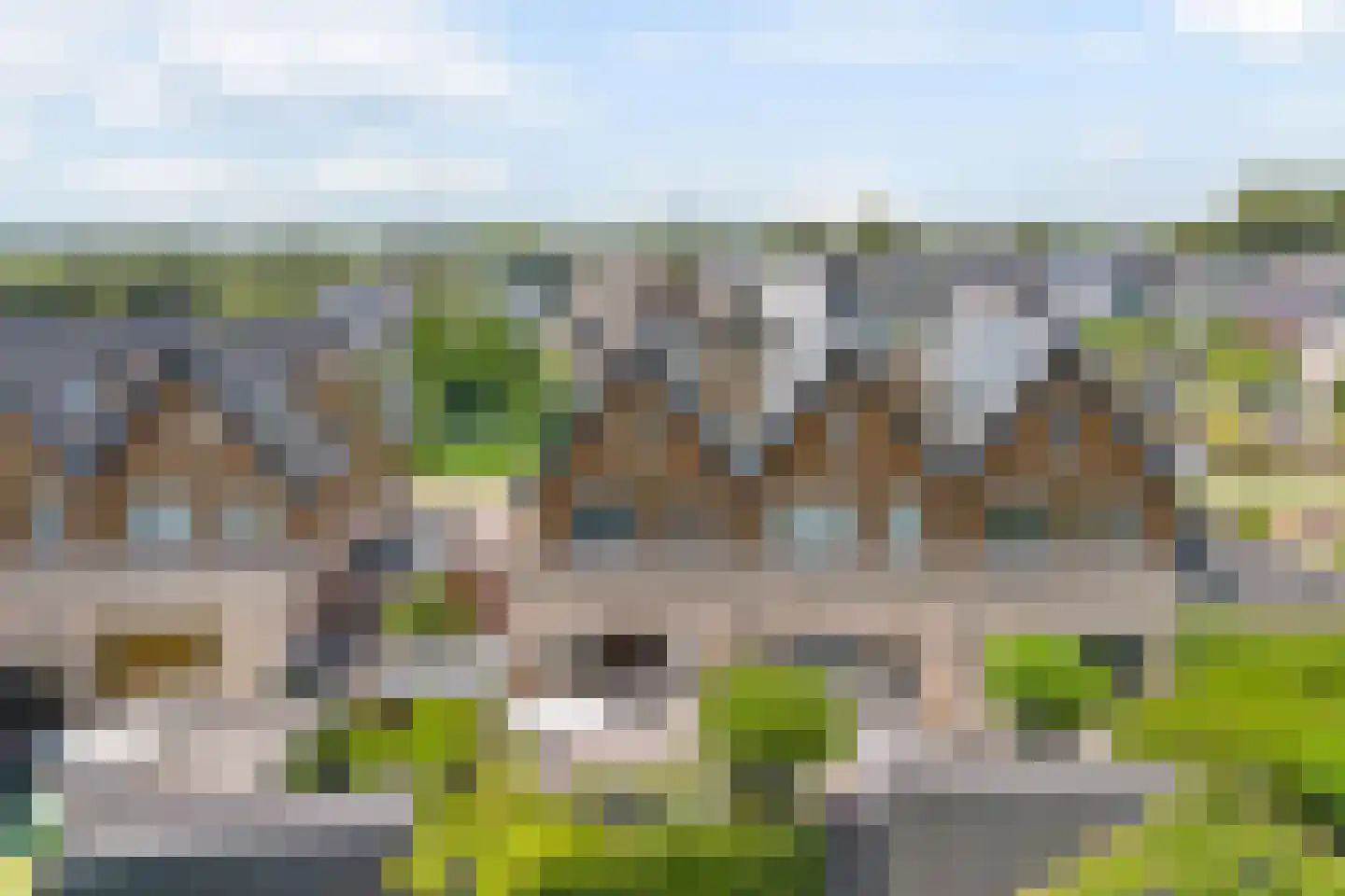Aalscholver 8 Pijnacker thumbnail 63