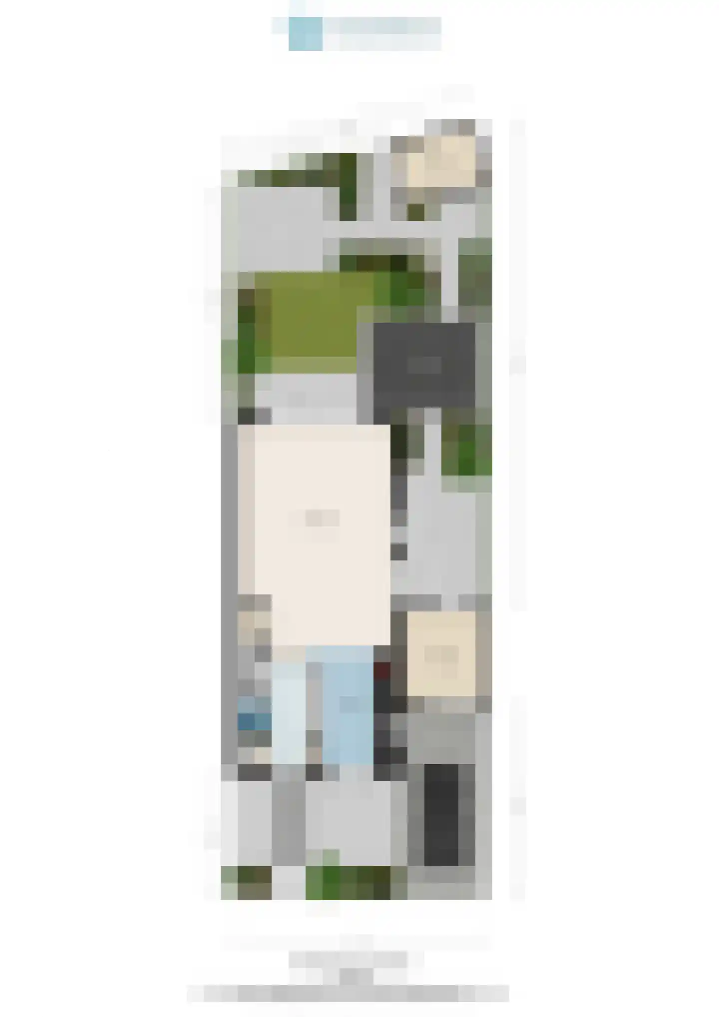 Aalscholver 8 Pijnacker thumbnail 64