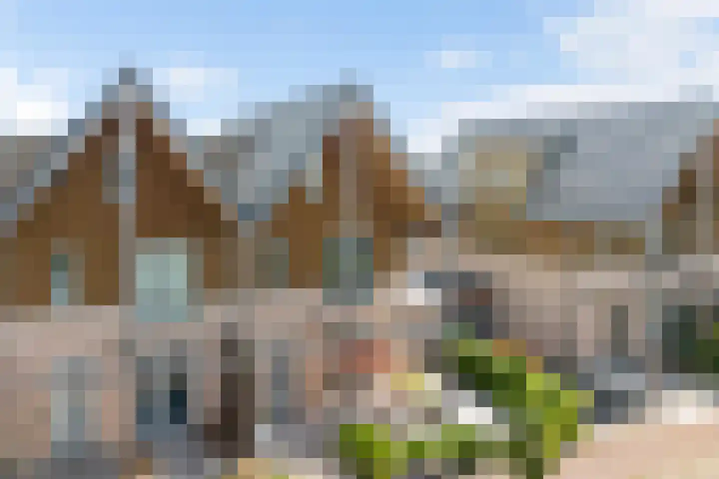 Aalscholver 8 Pijnacker thumbnail 7