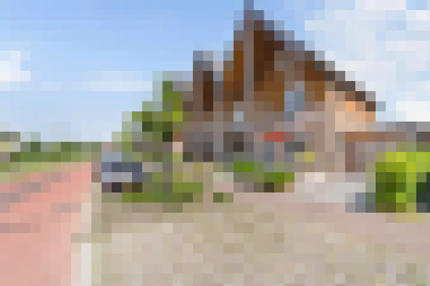 Aalscholver 8 Pijnacker thumbnail 8