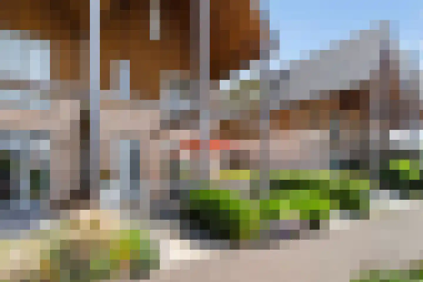 Aalscholver 8 Pijnacker thumbnail 9