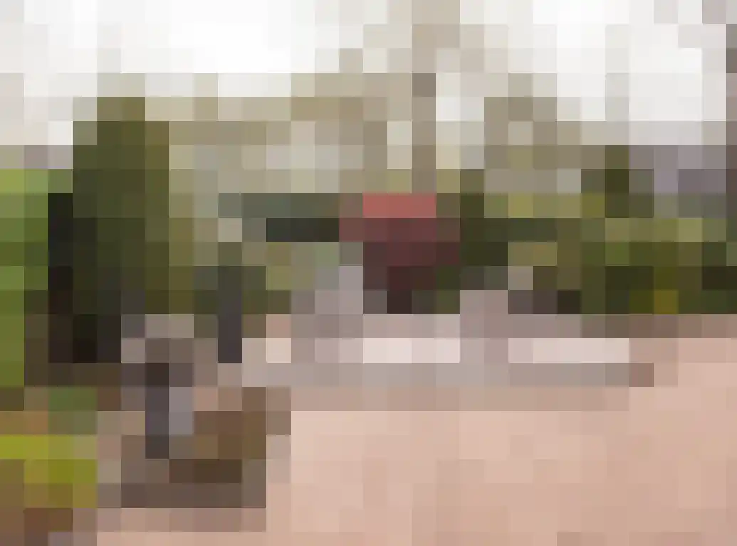 Aalscholver 9 Etten-Leur thumbnail 37