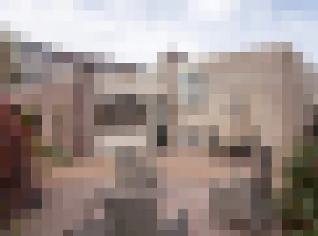 Aalscholver 9 Etten-Leur thumbnail 38
