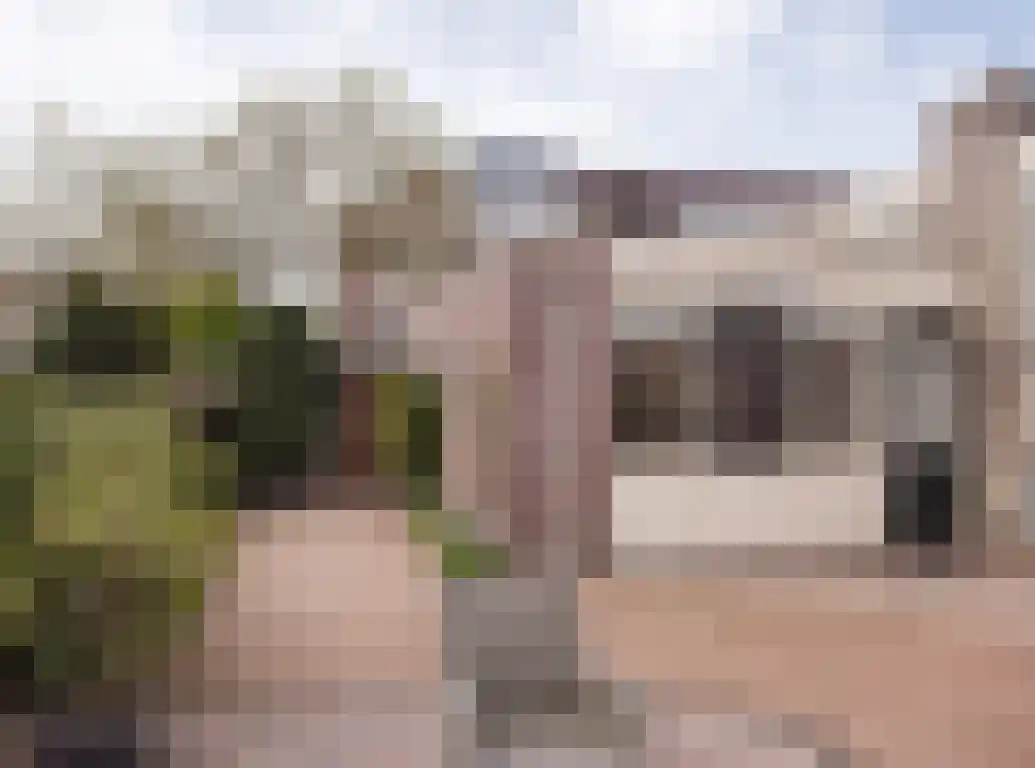 Aalscholver 9 Etten-Leur thumbnail 39