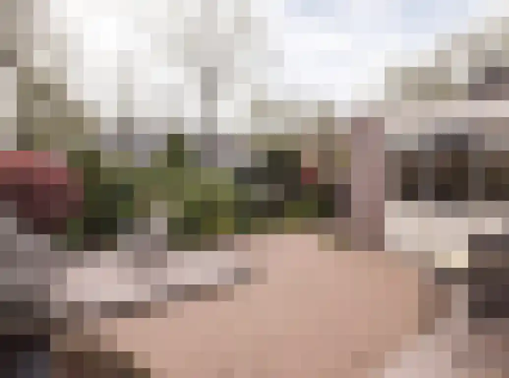 Aalscholver 9 Etten-Leur thumbnail 40