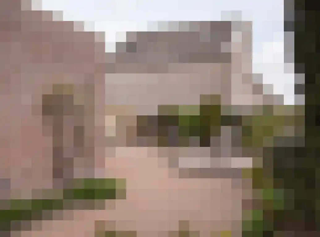 Aalscholver 9 Etten-Leur thumbnail 43