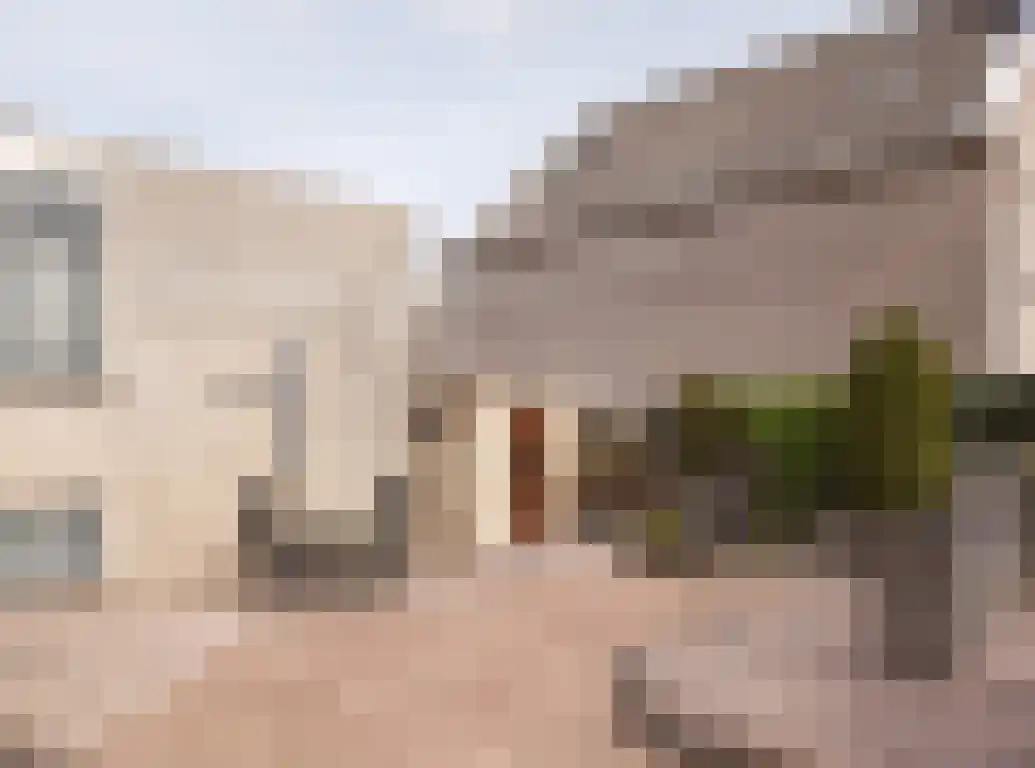 Aalscholver 9 Etten-Leur thumbnail 44