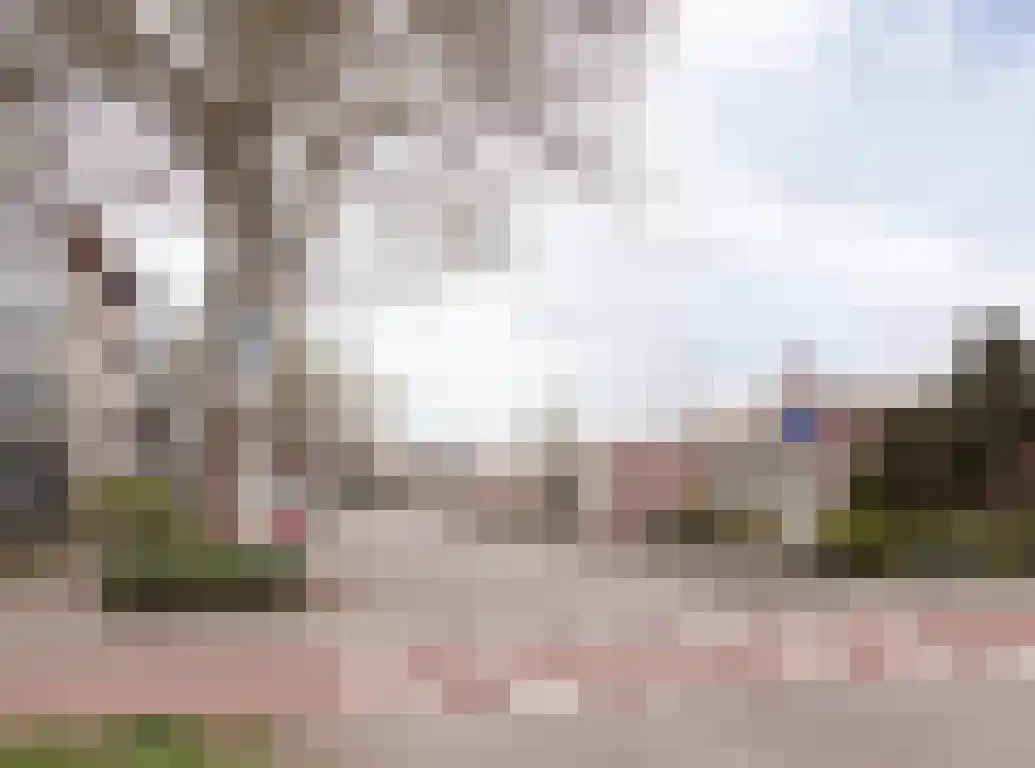 Aalscholver 9 Etten-Leur thumbnail 47