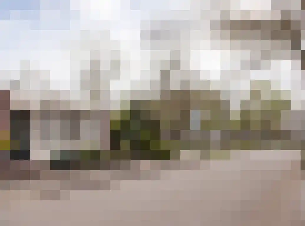 Aalscholver 9 Etten-Leur thumbnail 48