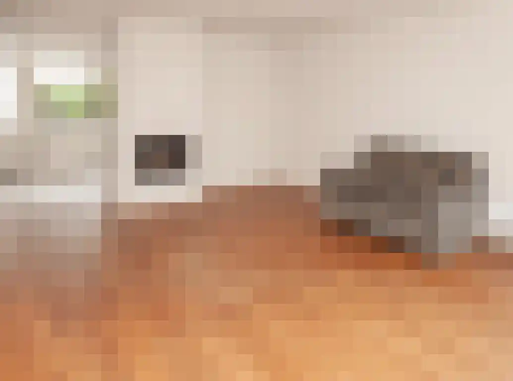 Aalscholver 9 Etten-Leur thumbnail 7