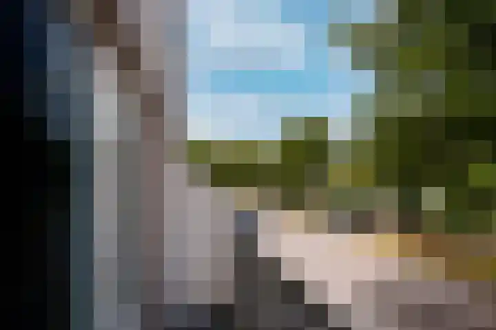 Aalscholverlaan 11 's-Hertogenbosch thumbnail 35