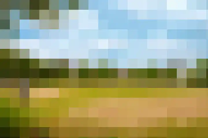 Aalscholverlaan 11 's-Hertogenbosch thumbnail 46